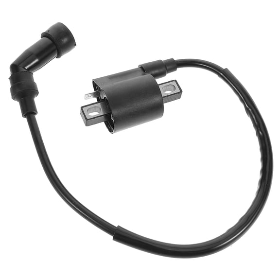 Niceauty Black Plastic Motorcycle Ignition Coil 1Pcs