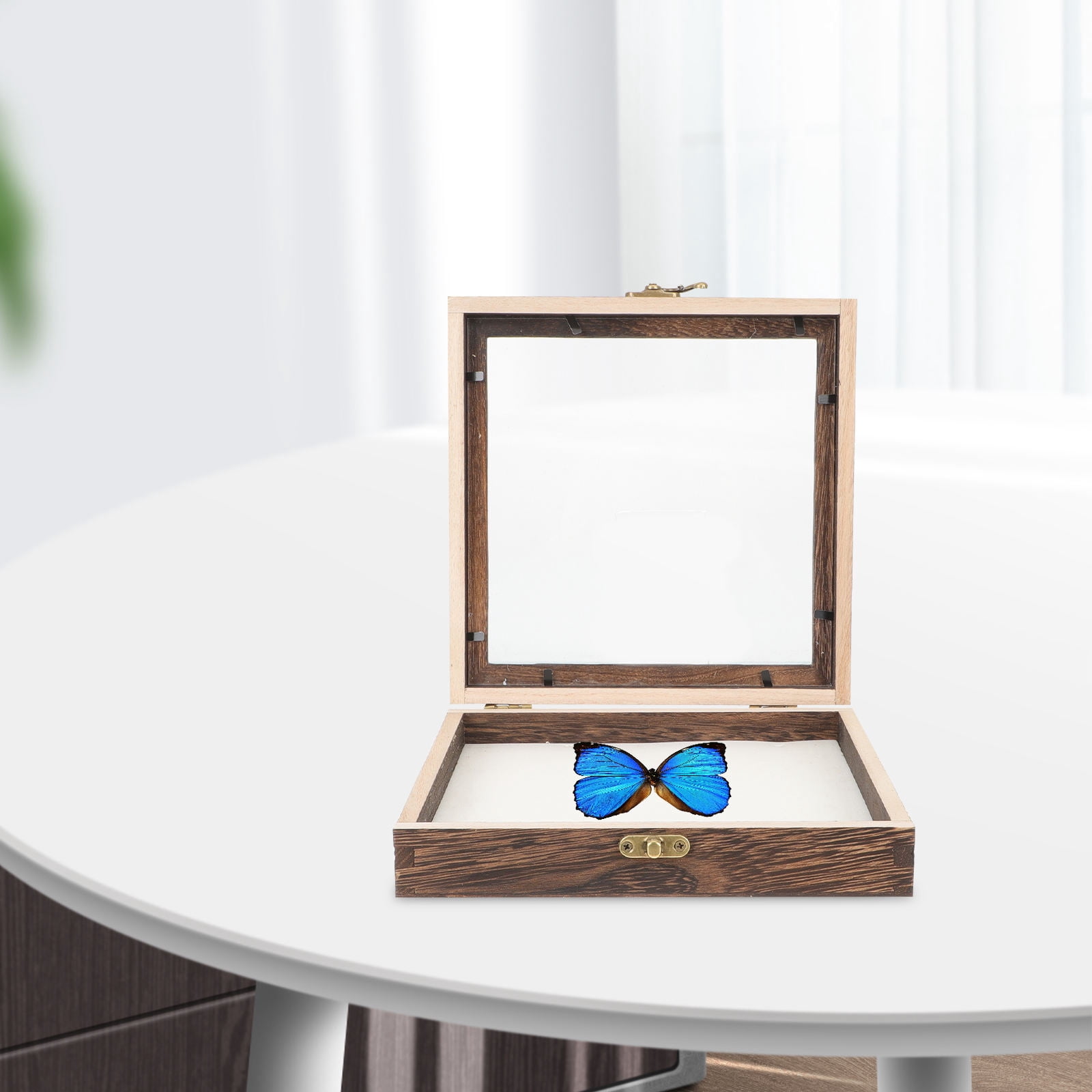 Niceauty Vintage Specimen Box Insect Observation Containers Protective ...