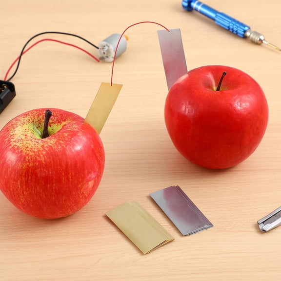 Niceauty 10Pairs Electroplating Copper and Zinc Experiment Materials for Science Projects