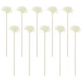 thumbnail image 1 of Nicehomfit Diffuser Flower Sticks White Pe Material for Essential Oils 10Pcs, 1 of 8