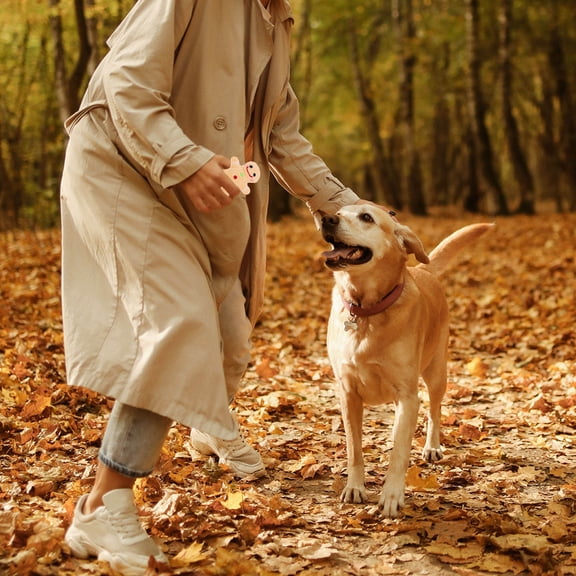 Nicehomfit Holiday Pet Dog Plush Toy Bite Resistant Brown Cartoon Gingerbread Man 1Pack