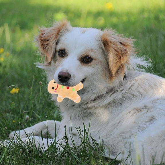 Nicehomfit 1Pack Plush Dog Toy for Dog Owners in Cartoon Gingerbread Man Shape 7.00X7.00X6.00CM