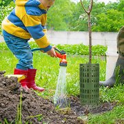 Nicehomfit Garden Tree Trunk Cover, Green PP, Easy Install and Detach, 4Pcs