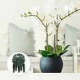 thumbnail image 1 of Nicehomfit 100Pcs Plants Fixed Clamps Green Weatherproof Plastic Garden Clips for Vine Vegetables, 1 of 8