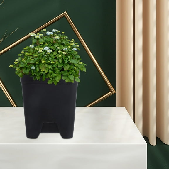 Nicehomfit Black Plastic Root Control Pots, Breathable, for Home Gardening 6Pcs