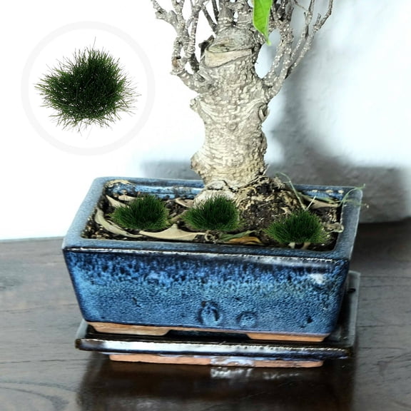 Nicehomfit 1Set Artificial Dark Green Grass Cluster Model for DIY Sand Table Decoration
