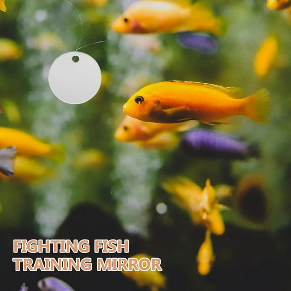 Nicehomfit Fish Mirror for Tank 1 Pet Owners 4x1.6in