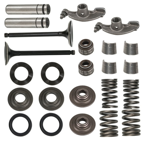 Niche Cylinder Head Valve Spring Kit for Yamaha Warrior 350 M01-12129 MK1000939