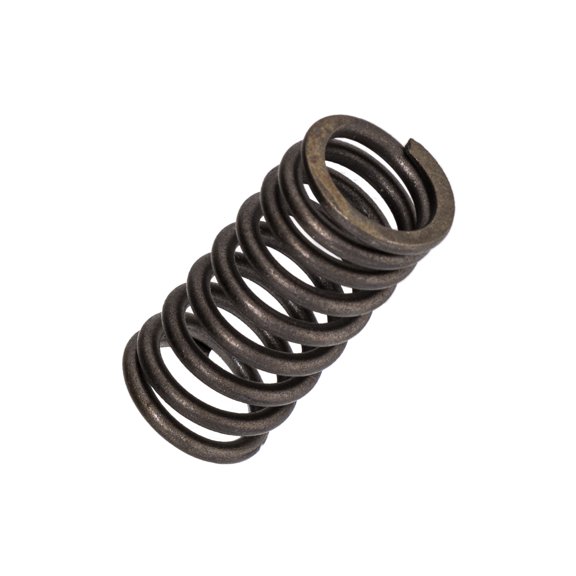 Niche Cylinder Inner Valve Spring for Honda Rincon TRX400 14761-KG0-003 UTV 519-CVS2234P