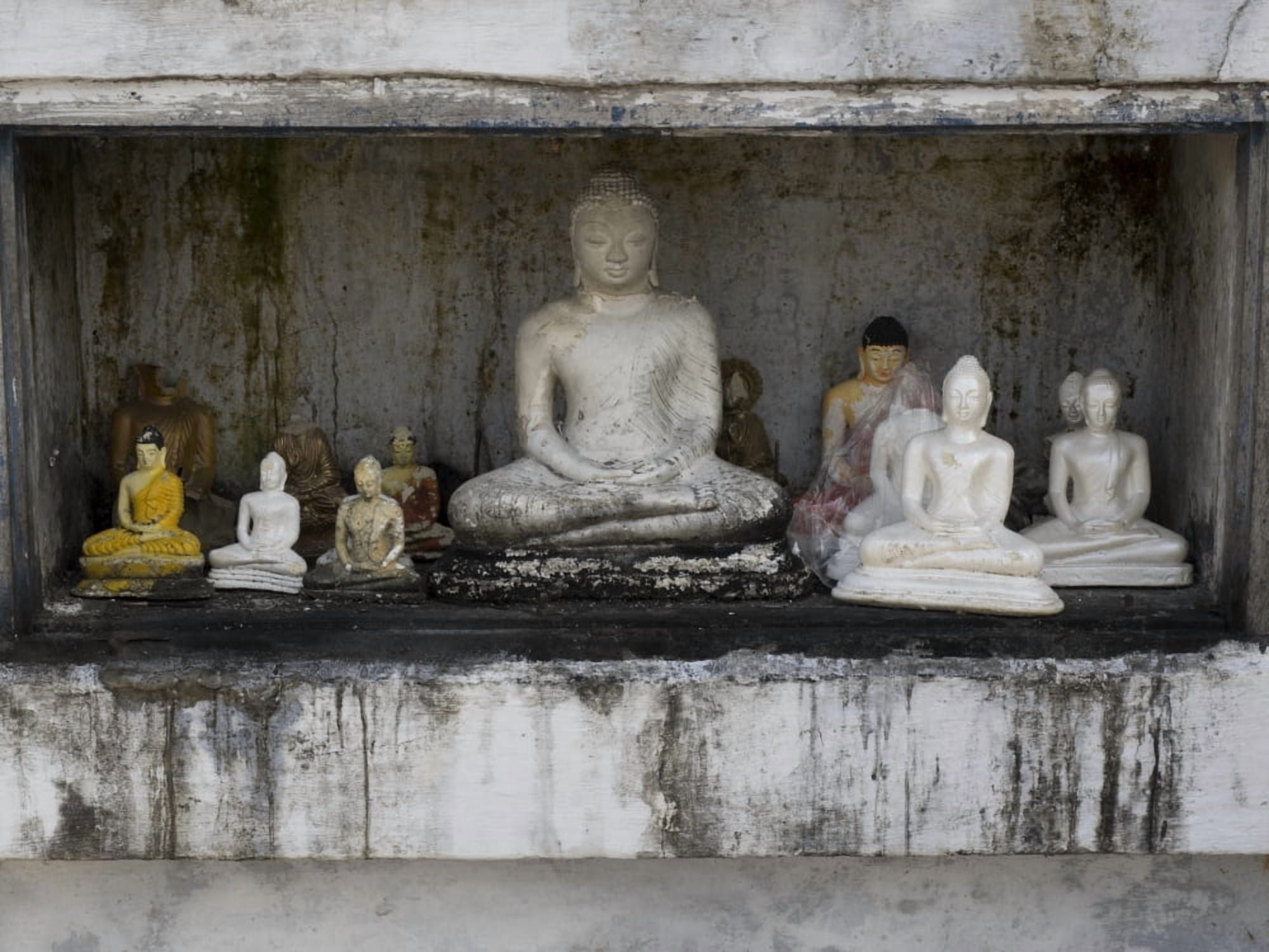 Niche at Ruwanwelisaya Dagoba (2nd century BCE) filled with Buddha statues as offerings Anuradhapura North Central Province Sri Lanka Canvas Art - Panoramic Images (12 x 16)