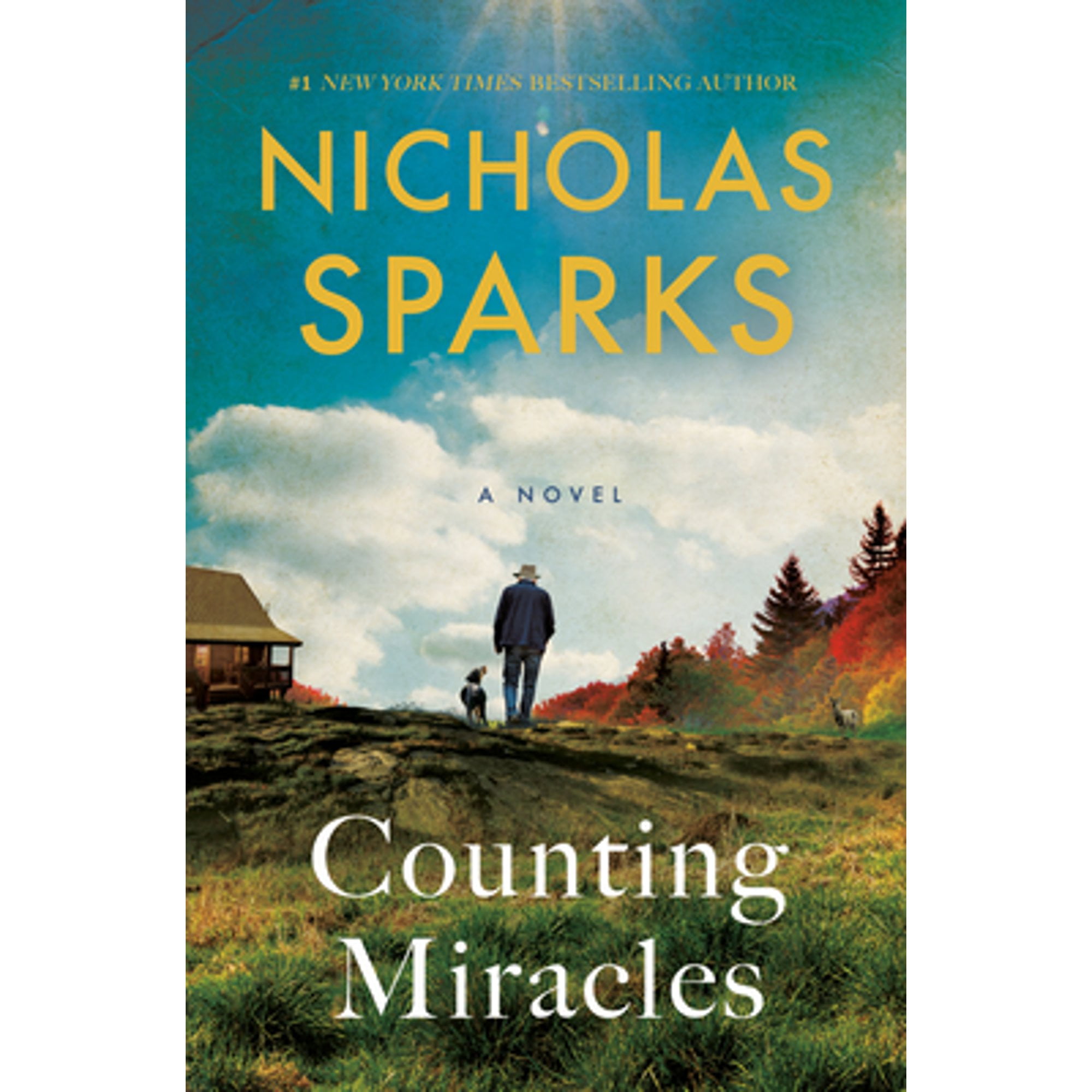 Pre-Owned Counting Miracles: A Novel, 9780593449592, 0593449592, Hardcover,