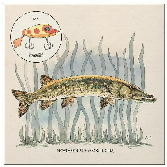 Nick Lowe - Lay It On Me - Music & Performance - Vinyl