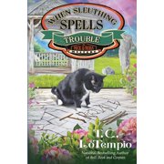 Nick and Nora Mystery When Sleuthing Spells Trouble, Book 8, Paperback