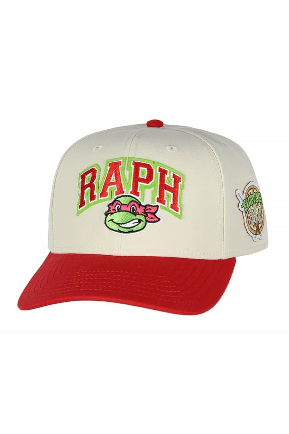 Nickelodeon Mens' Teenage Mutant Ninja Turtles Embroidered Classic Precurve Snapback Hat