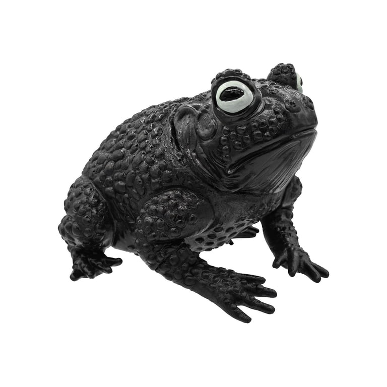 Toad Props Toad Black And White