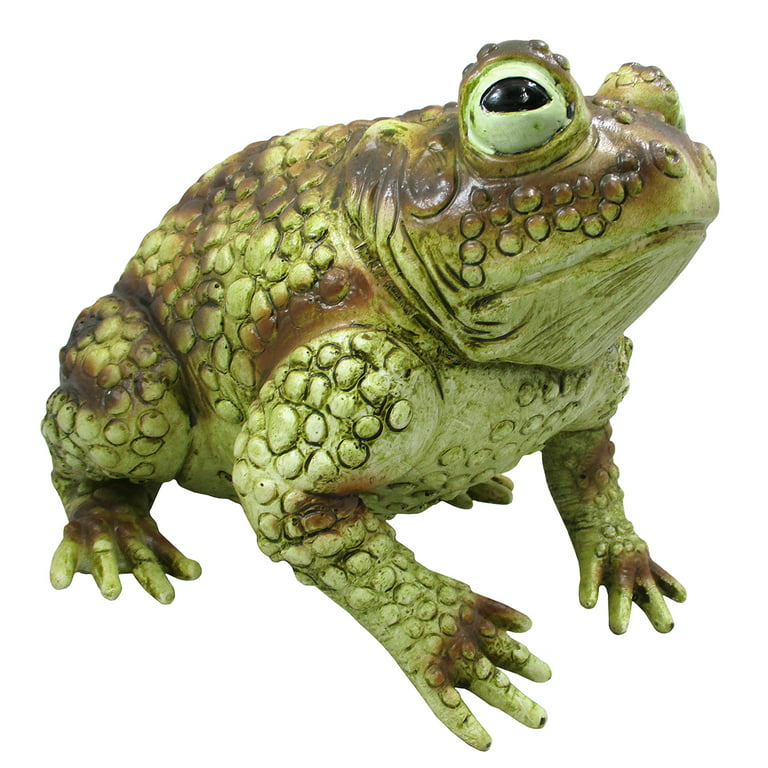 Nicky Bigs Novelties Giant Rubber Frog Toad Prop Decoration, Multi, 10  Inches Long