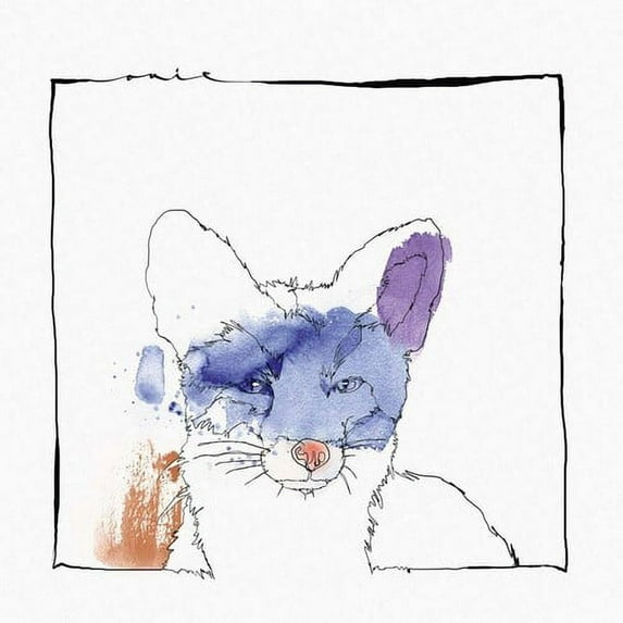 Nico Stojan - Cardano - Music & Performance - Vinyl
