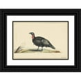 thumbnail image 1 of Nicolaas Struyk 24x18 Black Ornate Framed Double Matted Museum Art Print Titled: Bird with Black Feathers and a Red Head, Standing, Left (C. 1699 - C. 1719), 1 of 5