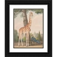 thumbnail image 1 of Nicolas Huet The Younger 15x18 Black Ornate Wood Framed Double Matted Museum Art Print Titled - Study of the Giraffe Given to Charles X by the Viceroy of Egypt (1827), 1 of 5