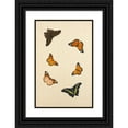 thumbnail image 1 of Nicolas Struyk 13x18 Black Ornate Wood Framed Double Matted Museum Art Print Titled - Studies of Six Butterflies (18th Century), 1 of 5