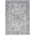 thumbnail image 1 of Nourison Home Machine Washable Series 1 Persian Ivory Beige 4' x 6' Area Rug (4x6), 1 of 10