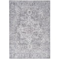 thumbnail image 1 of Nourison Home Machine Washable Series 1 Persian Ivory Grey 5'3" x 7'3" Area Rug (5x7), 1 of 10