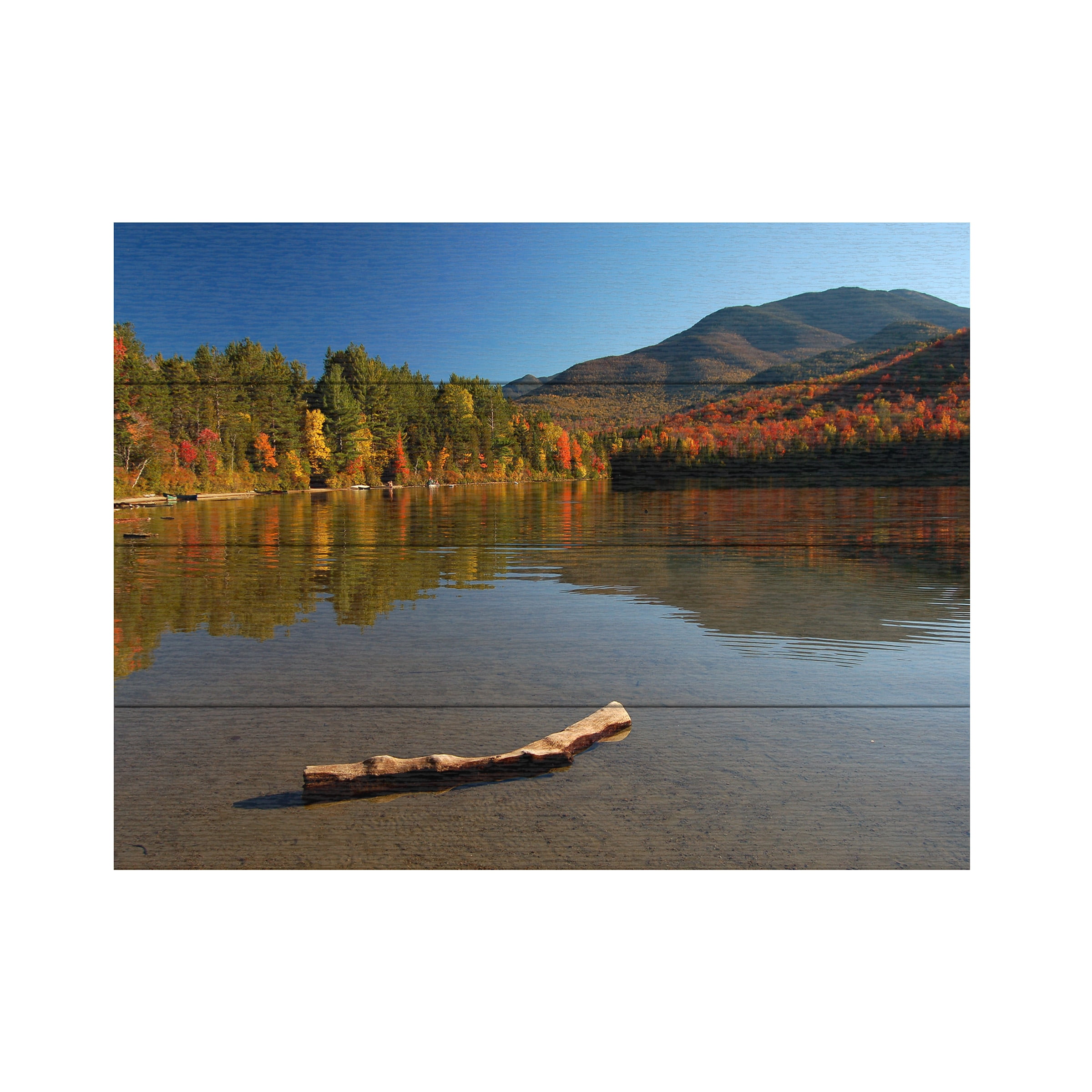 Nicole Dietz 'The Adirondack Driftwood' Wood Slat Art 12x16