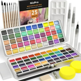 Crayola Watercolor Paint Set (16 Count), Washable Paint for Kids, 1 Paint  Brush, Arts & Crafts Supplies, Assorted Colors, Ages 4+