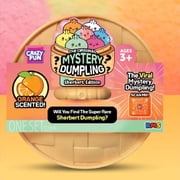 New Giant Glitter Orange Scented Mystery Dumpling Sherbert Edition Squishies Box for Stress Relief
