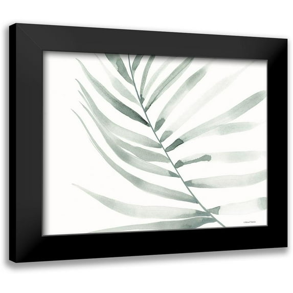 Nieman, Rachel 18x15 Black Modern Framed Museum Art Print Titled - Sage Fern Leaf