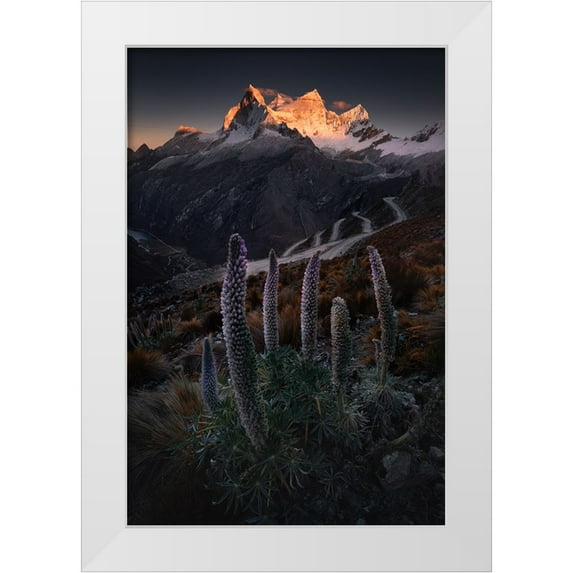 Nienartowicz, Karol 23x32 White Modern Wood Framed Museum Art Print Titled - Lupin Towers