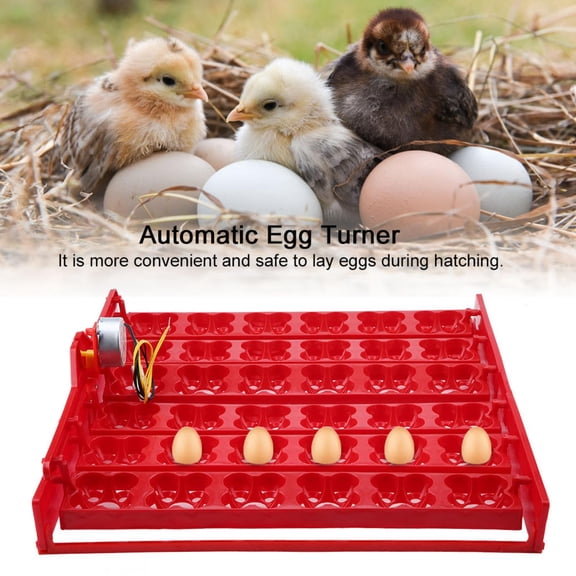 Nieyigj 36 Eggs / 144 Bird Eggs Automatic Incubator Turning Tray Hatcher Tool 220V Motor Poultry Hatching Equipment For Chickens Ducks (19.69 inches / 50 cm)