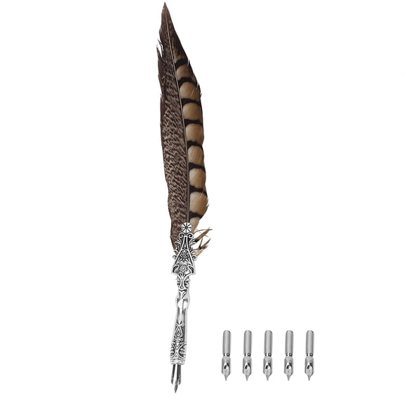 Nieyigj Classical Vintage Feather Fountain Pen Calligraphy Quill Dip Pen Set, Peacock Home Decor Business Gift Box for Artists, Vintage Peacock Style 1, 11.8 inches / 30 cm