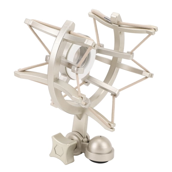 Nieyigj Professional Microphone Shock Mount 25mm ABS Anti Vibration Mic Holder Clip Compatible with Neumann TLM103 TLM193 TLM127 TLM170 MK4 Studio Microphones 25mm / 0.98 inches Double Unit Design
