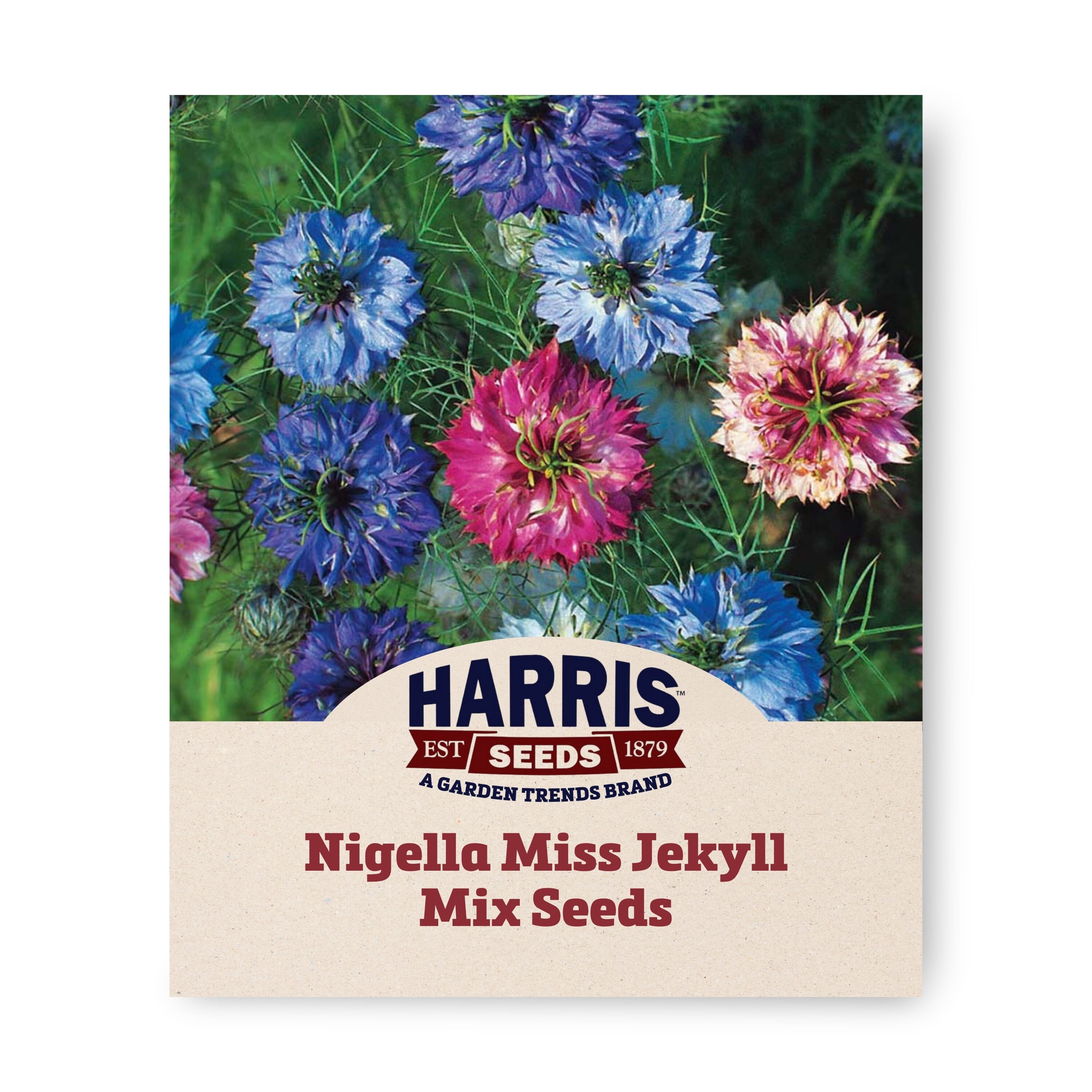 Harris Seeds Nigella Miss Jekyll Mix Organic Non-GMO, 1,000 Count