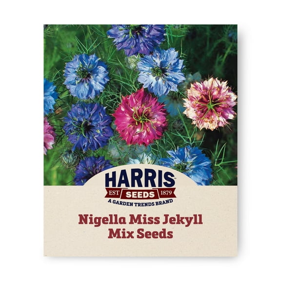 Harris Seeds Nigella Miss Jekyll Mix Organic Non-GMO, 50 Count