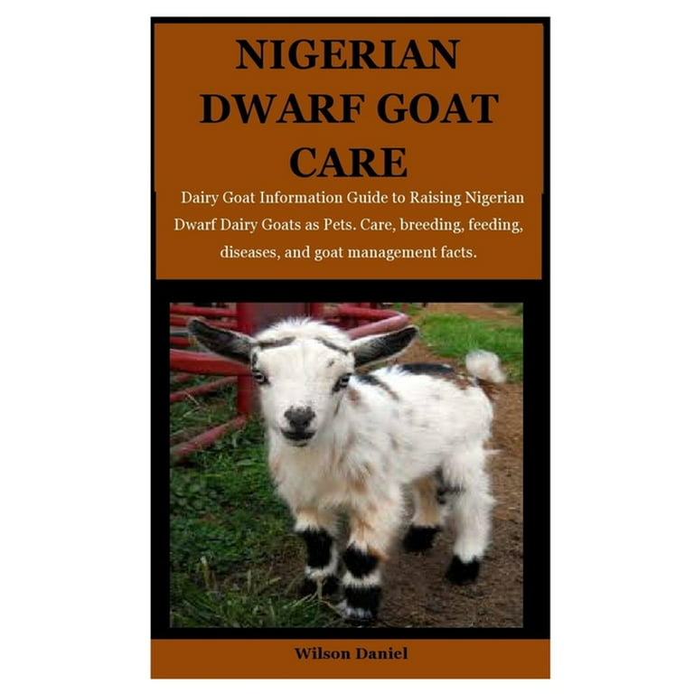 Meet Our Nigerian Dwarf Goats  Smithsonian's National Zoo and Conservation  Biology Institute