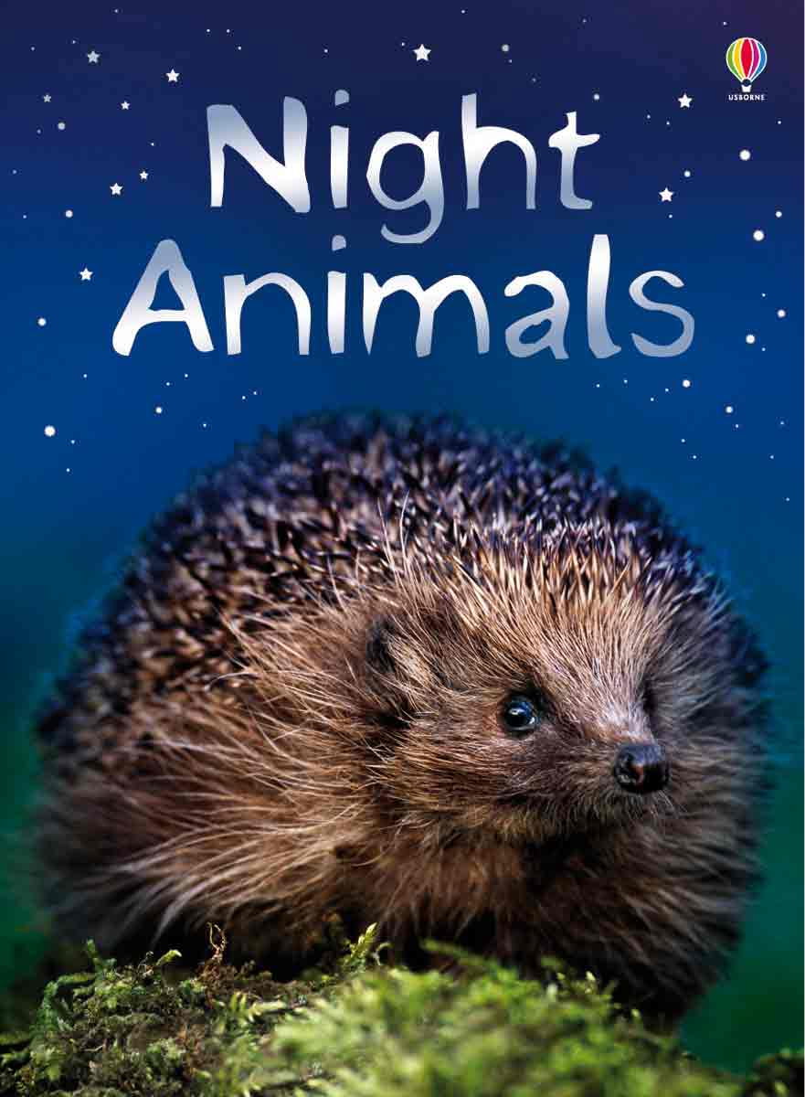 Night Animals: Level 1 (Hardcover) by Sue Meredith, Nicola Butler ...
