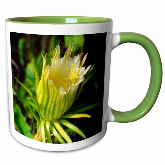 3drose, Night Blooming Cereus Flower - Na01 Dpb0026 - Douglas Peebles, 11oz Two-tone Green Mug