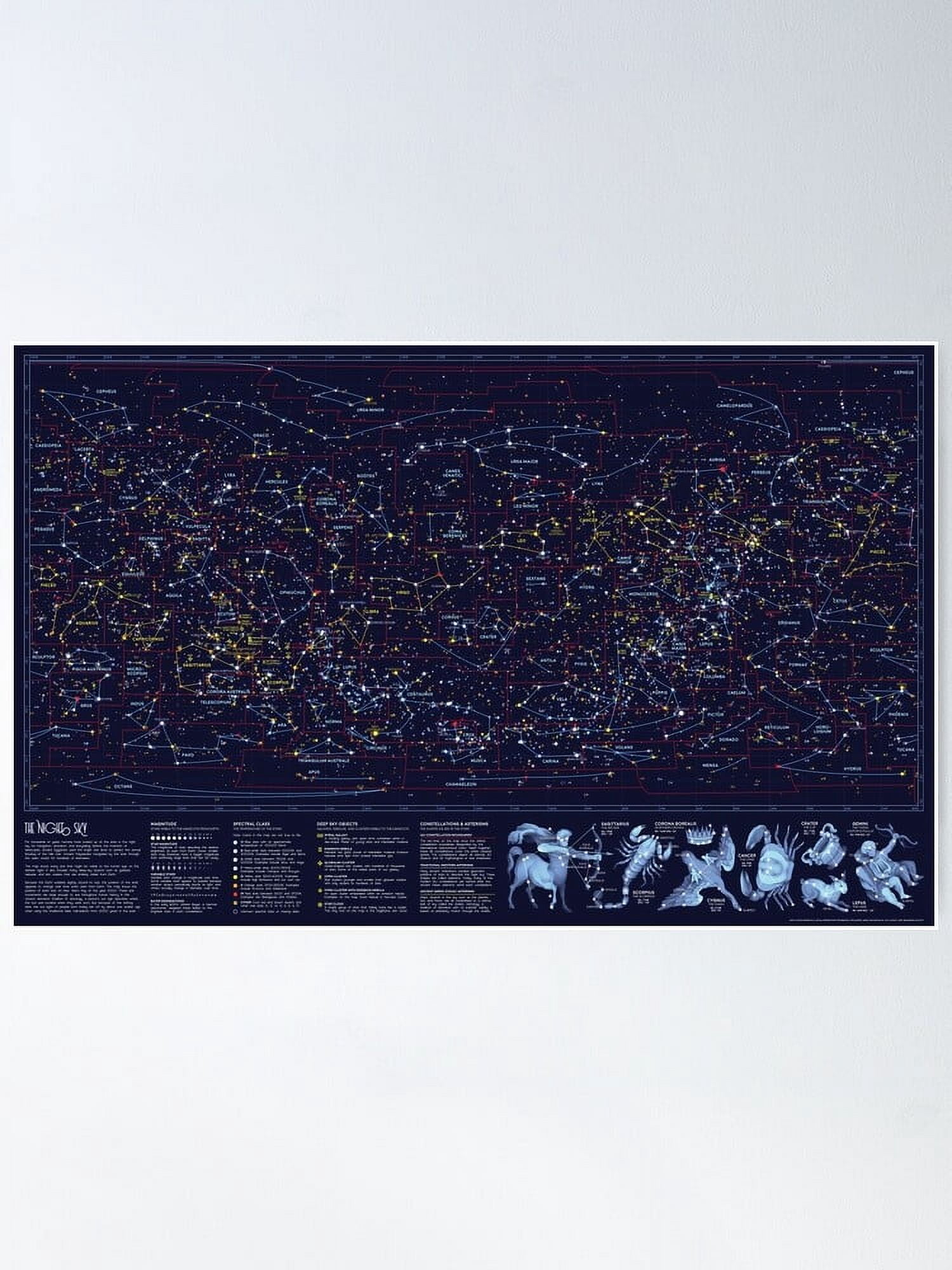 Night Constellations Poster - Walmart.com