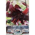 thumbnail image 1 of Night Flyer Tiger Lily 3 Bulbs 14/16 cm - Black/Red, 1 of 4