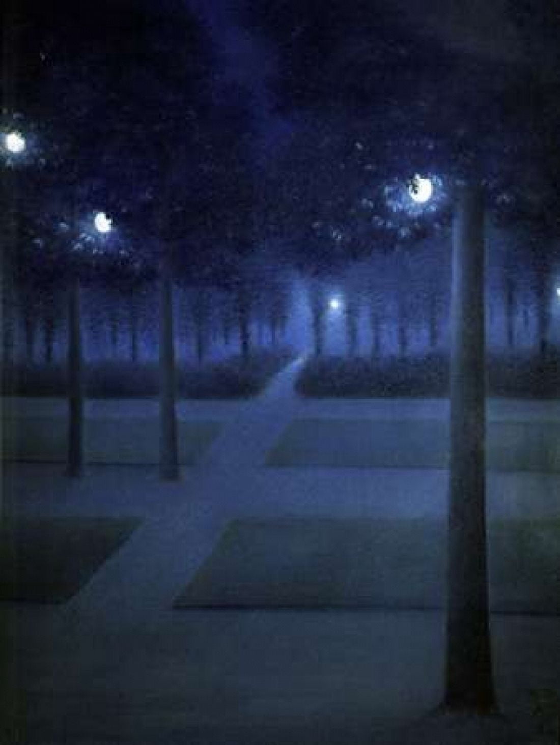 Night In The Park Royal Brussels Canvas Art - William Degouve De Nuncques (18 x 24)