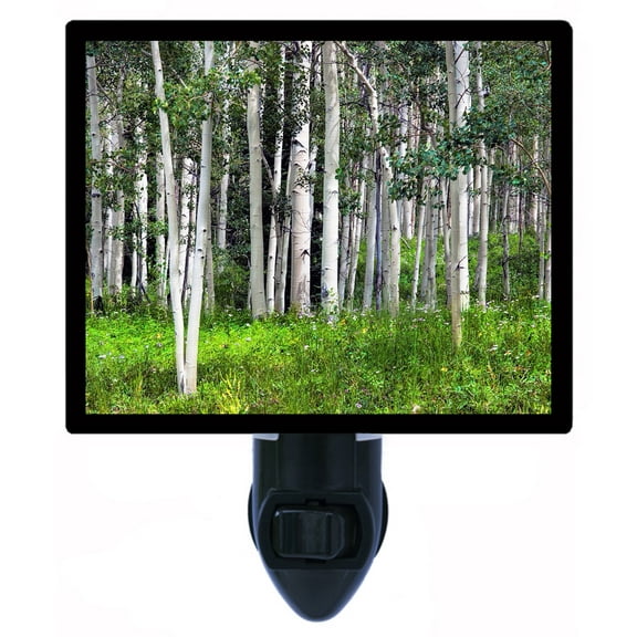 Night Light - Aspen Trees. | Landscape Theme, Includes Free Switchable Insert, 4W Bulb, E12 Base