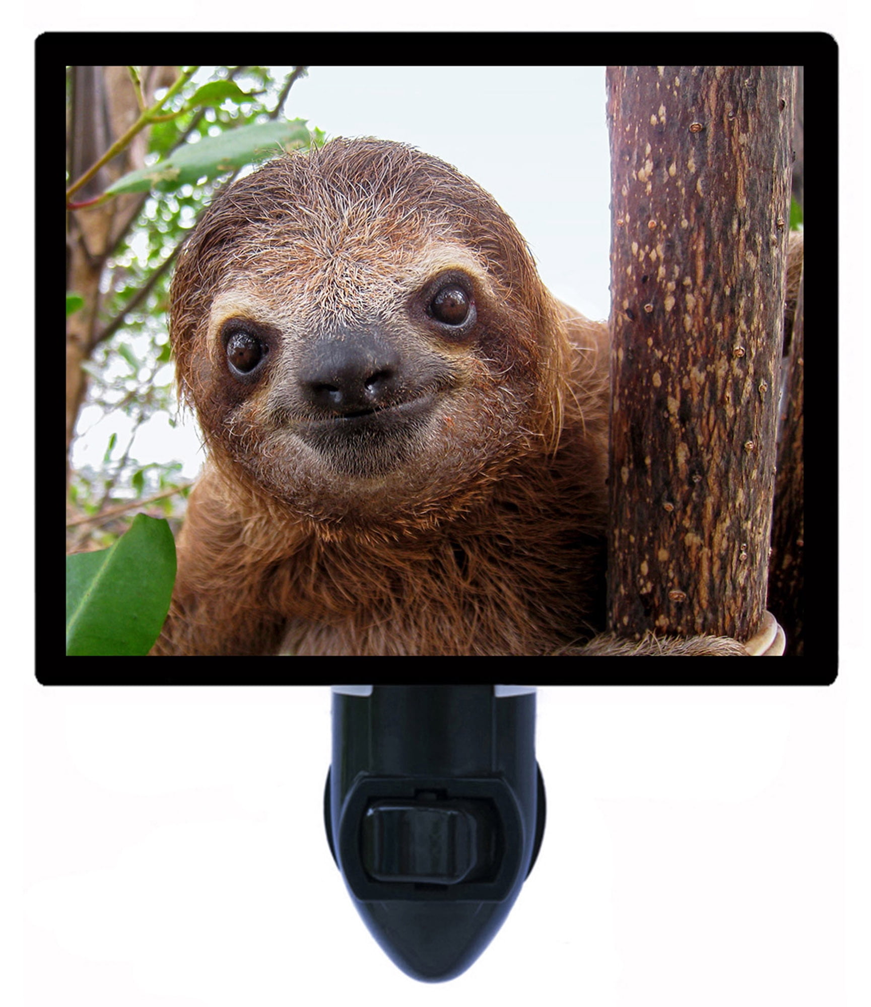 Night Light - Baby Sloth. | Sloth Theme, Includes Free Switchable Insert, 4W Bulb, E12 Base