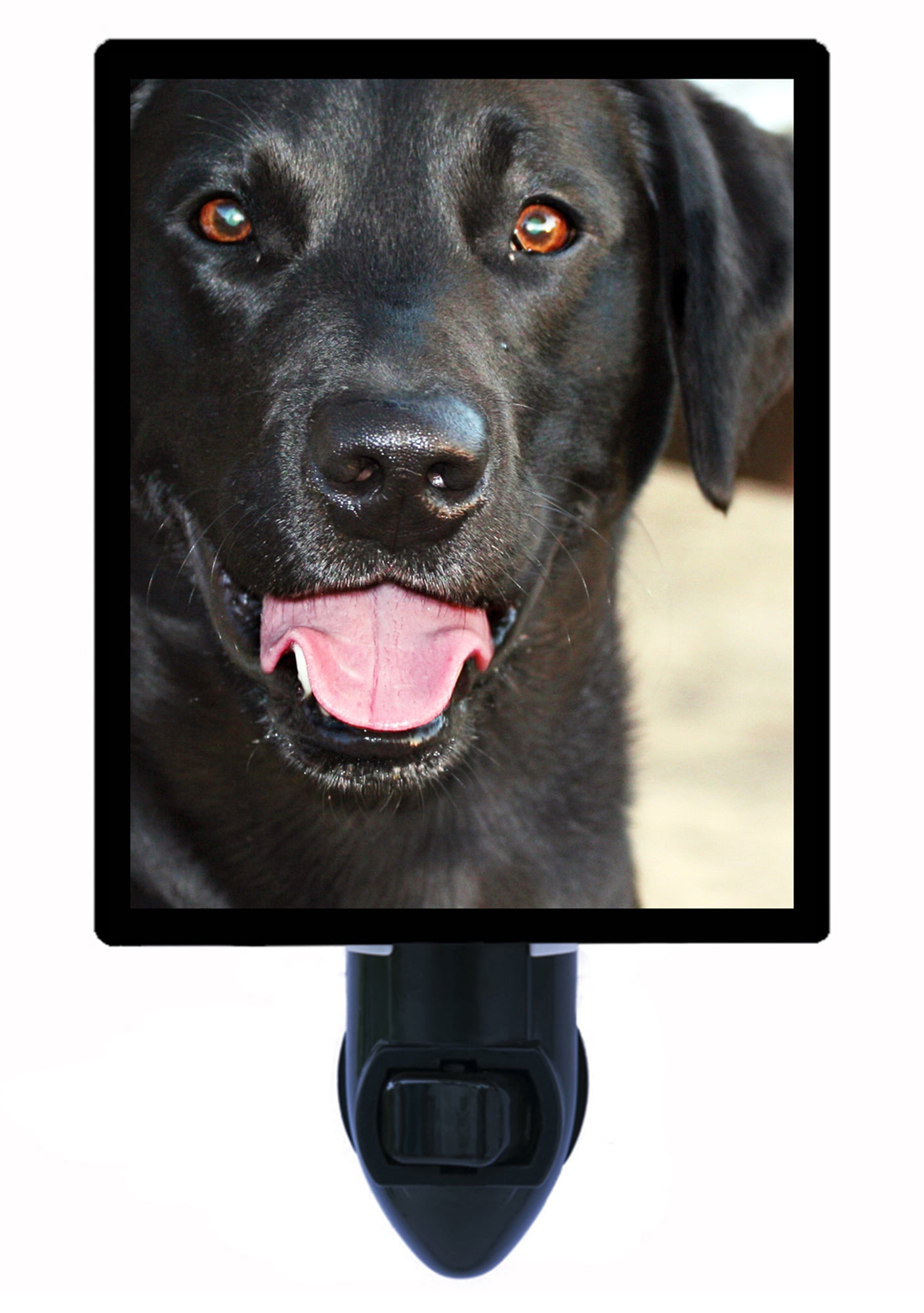 Night Light - Black Lab. | Dog Theme, Includes Free Switchable Insert, 4W Bulb, E12 Base