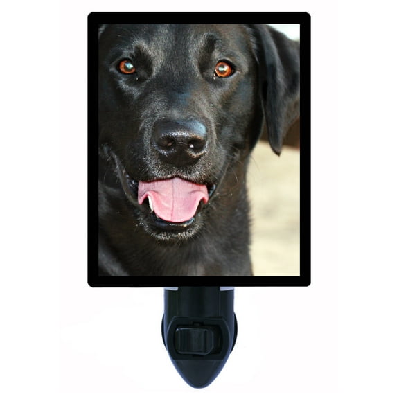 Night Light - Black Lab. | Dog Theme, Includes Free Switchable Insert, 4W Bulb, E12 Base