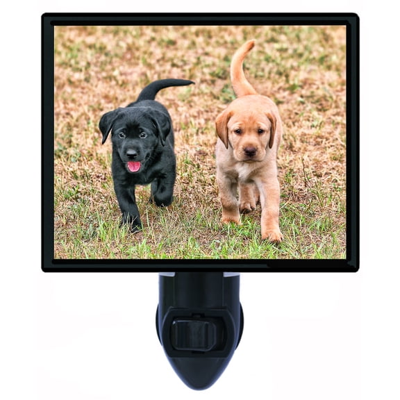 Night Light - Black and Yellow. | Labrador Retriever Theme, Includes Free Switchable Insert, 4W Bulb, E12 Base