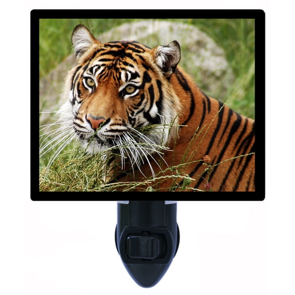 Night Light - Calm Tiger. | Animal Theme, Includes Free Switchable Insert, 4W Bulb, E12 Base