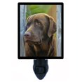 thumbnail image 1 of Chocolate Lab Night Light - Dogs, Pets, Labrador Retriever, 1 of 4