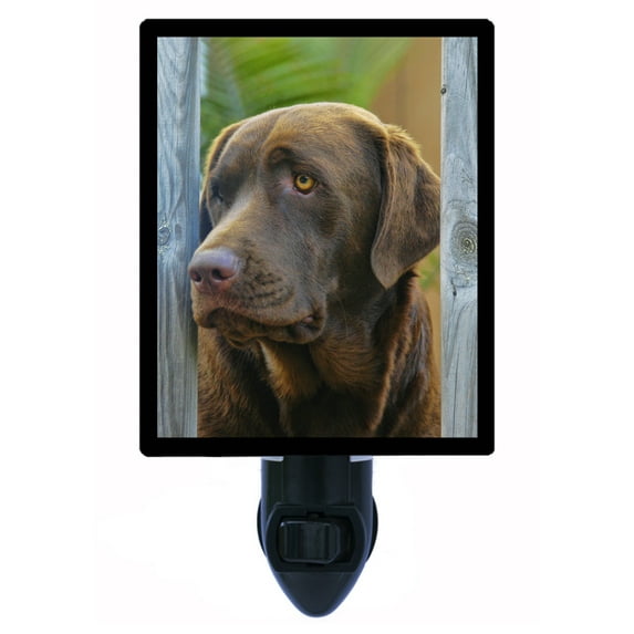 Chocolate Lab Night Light - Dogs, Pets, Labrador Retriever